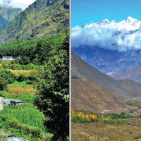 माया विश्वास, सम्मान र समर्पण हो : शताब्दीपुरुष जोशी