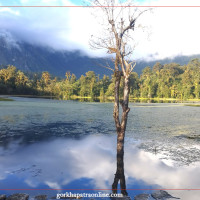 यातायात कार्यालयमा सधैं भीडभाड