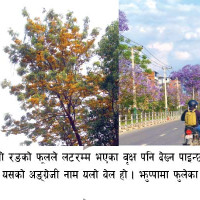 माया विश्वास, सम्मान र समर्पण हो : शताब्दीपुरुष जोशी