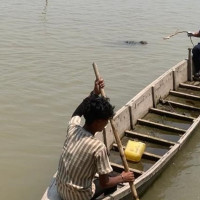 बेल जुस उत्पादन गर्दै सामुदायिक वन