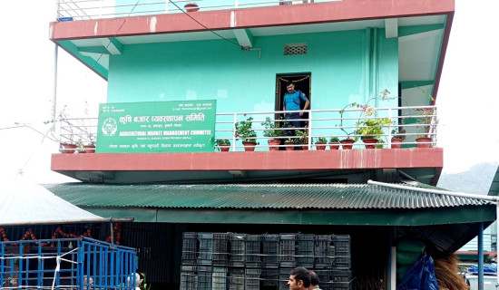 बीपी प्रतिष्ठानमा छुट्टै डेङ्गु क्लिनिक सेवा