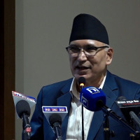 प्रधानमन्त्रीसँग मिटरब्याज पीडितको भेटवार्ता