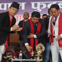 विषादी परीक्षण सधैँको व्यथा