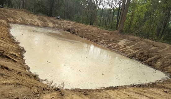 वन्यजन्तुका लागि कृत्रिम पोखरी निर्माण