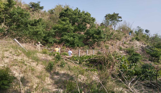 वन क्षेत्रबाट रातको समयमा अवैध उत्खनन, तीन जना पक्राउ