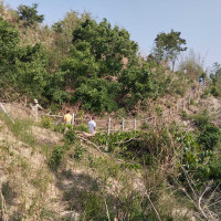 “सिरीयामा मानवीय सङ्कट गहिरिँदै, अपिलमा मात्र १० प्रतिशत सहयोग”