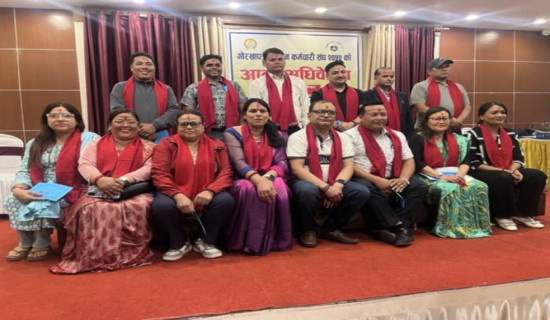 न्यौपानेको अध्यक्षतामा १५ सदस्यीय कार्यसमिति निर्वाचित