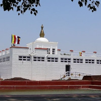 रवि लामिछाने र प्रजिअविरुद्ध उजुरी दर्ता