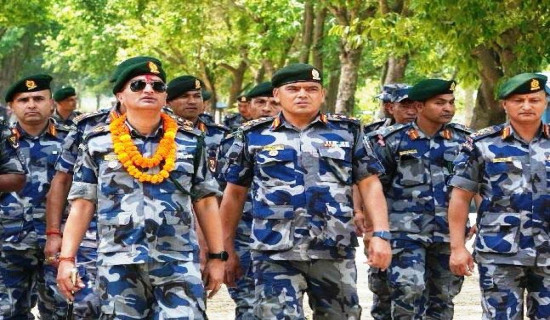 सरकारले चाहेमा चाँडै निजामती सेवा ऐन बन्नसक्छ : अध्यक्ष तिमल्सिना