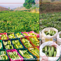 नेपाल क्षेत्रीय र विश्वव्यापी जलवायु परिवर्तनका कारण उच्च जोखिममा : प्रधानमन्त्री