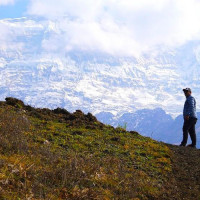 गण्डकी प्रदेशको मुख्यमन्त्रीमा सुरेन्द्रराज पाण्डे नियुक्त