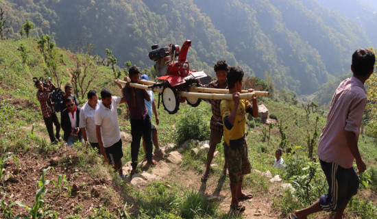 चितवनको कान्दामा दुई घण्टा बोकेर हाते ट्रयाक्टर पुर्‍याउँदा ...