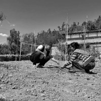 सौराहामा नमुना सडक निर्माण सुरु