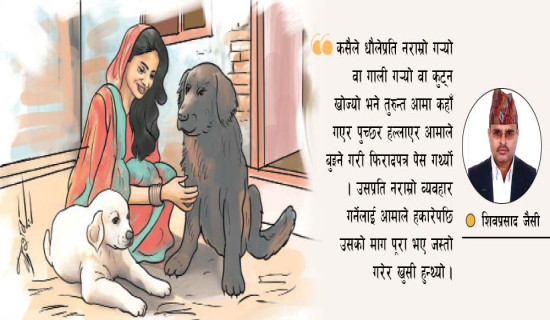 टक्सिला अर्थात् त्यो तक्षशिला