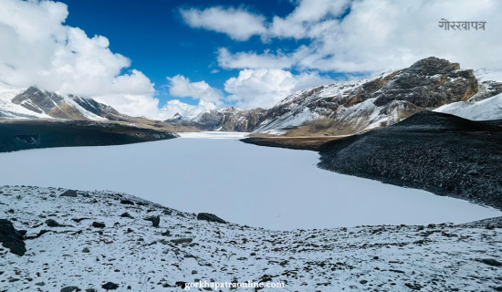 एकै सिजनमै ३० लाखको काँक्रा बिक्री