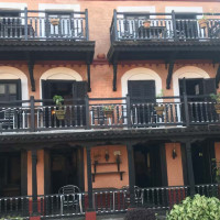 तनहुँमा लोपोन्मुख प्रजातिको अजिङ्गर फेला