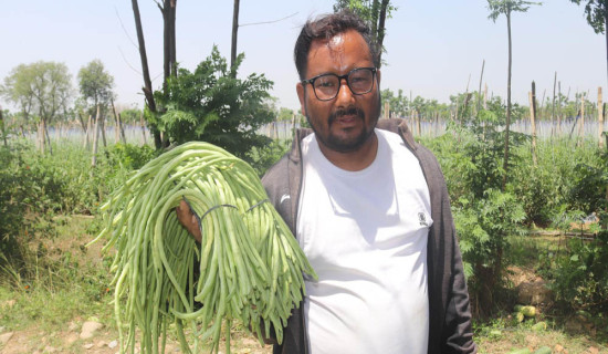 मिडियाले गाउँकेन्द्रित मुद्दा उठाउनु पर्छ : मुख्यमन्त्री चौधरी