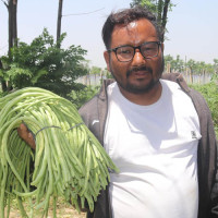 लुम्बिनी र कपिलवस्तु अखण्ड भारतको नक्सामा समेटिनु आपत्तिजनक