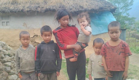 राजनीति जनताको आँसु पुछ्ने कला हो : सांसद शाही