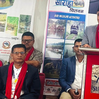 राजनीति जनताको आँसु पुछ्ने कला हो : सांसद शाही