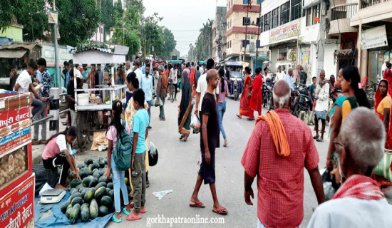 किसानलाई धान काट्ने  चटारो