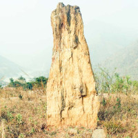 प्रधानमन्त्रीसहित केही मन्त्रीहरू प्रतिनिधि सभामा विजयी