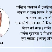 चाडबाडलक्षित साइबर अपराध