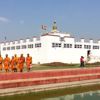 डढेलोले वन सखाप, स्वास्थ्यमा  असर