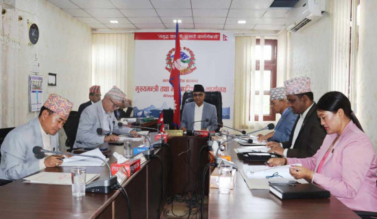 फोर्स गाडी दुर्घटनामा १३ जना घाइते