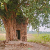 लुम्बिनीको दानपात्रमा एक करोड तीन लाख