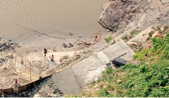 वराहक्षेत्रमा प्रकोप नियन्त्रण गरिँदै