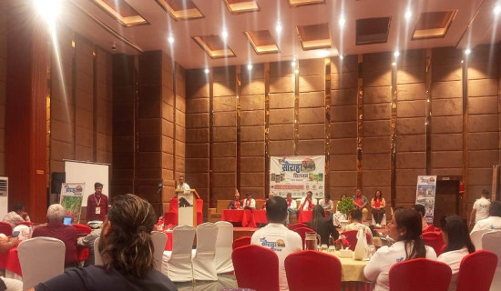 डढेलोले वन सखाप, स्वास्थ्यमा  असर