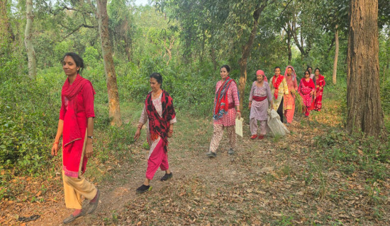 सामुदायिक वन जोगाउन महिला सक्रिय