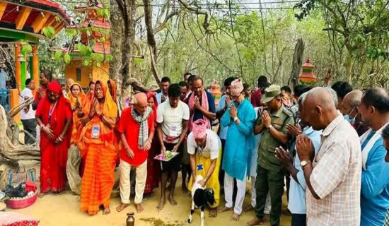 राजदेवी मन्दिरमा भक्तजनको घुइँचो