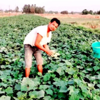 विद्यार्थीलाई सीपमूलक तालिम