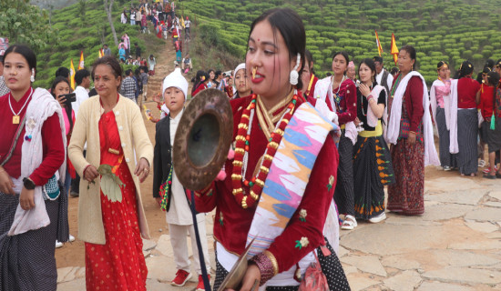धनकुटामा उभौलीको रौनक (फोटो फिचर)