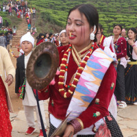 संविधान संशोधनको विषय मनोगत नभई वस्तुगत हुनुुपर्छ : सभामुख घिमिरे