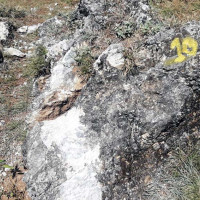 चौँरी तथा याक प्रदर्शन गर्दै सिरिजङ्घा