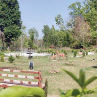 चौँरी तथा याक प्रदर्शन गर्दै सिरिजङ्घा