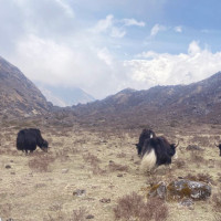 आठ करोड ७० लाख लगानीमा प्रदेश जनस्वाथ्य प्रयोगशाला