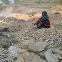 अवैध रूपमा औषधि पसलहरू सञ्चालन