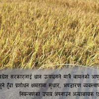 सुन्तला खेती गर्ने कृषकलाई घुम्ती तालिम