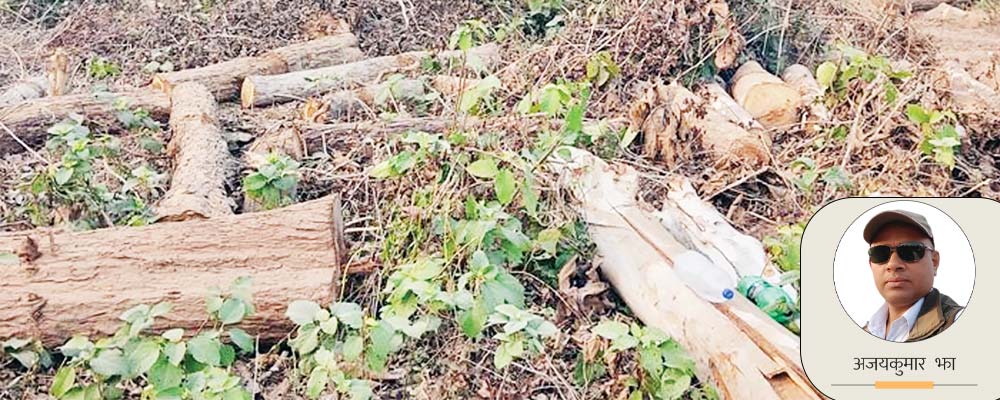 जलवायु परिवर्तनको असर