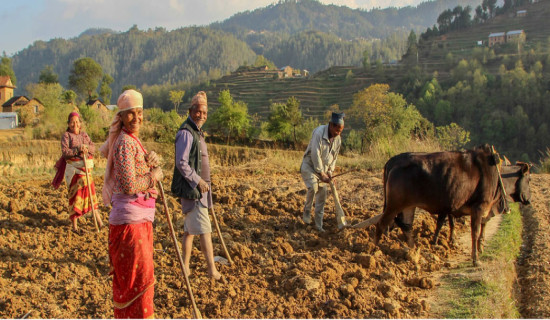 समावेशीकरणको दिशामा नयाँ फड्को : गोरखापत्रद्वारा प्रकाशित जिरेल भाषा