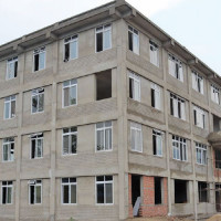 एकल महिलाको  समस्या समाधान गर्न माग