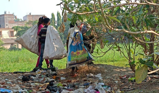 फोहोरमा जीवन खोज्दै बालबालिका