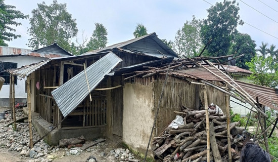 हावाहुरीले दमकमा २७ घरमा र तीन कृषि फर्ममा क्षति