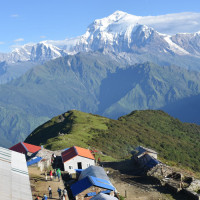 अमेरिकी कम्पनीमाथि राजस्व अनुसन्धानको मुद्दा, दस अर्ब छत्तिस करोड राजस्व चुहावट