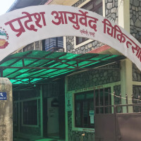 लम्पीस्किन रोगबाट ३५ हजार बढी गाईभैँसी प्रभावित