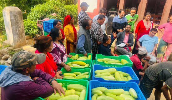 गाउँदेखि शहरसम्म संकलन र विक्रीवितरण